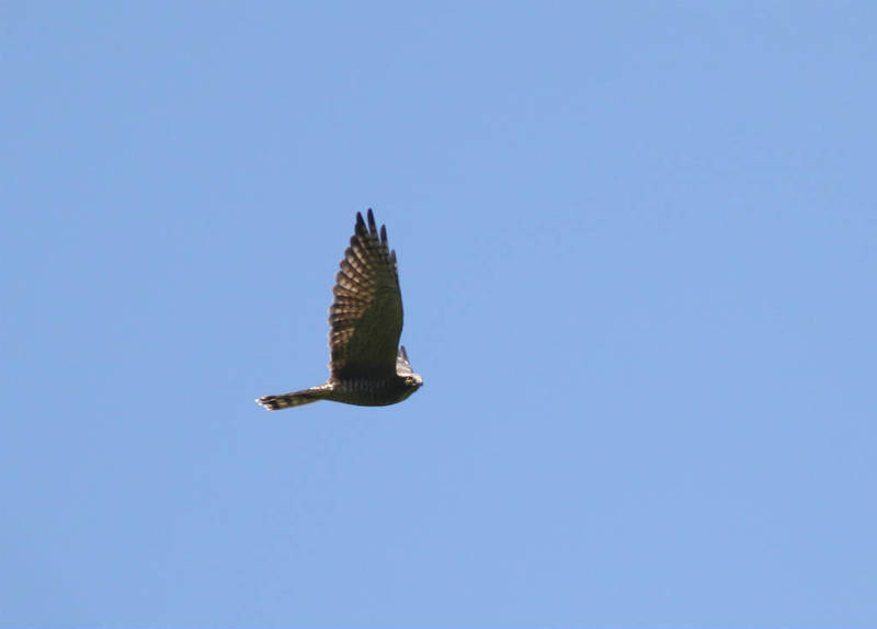 206A1756.jpg