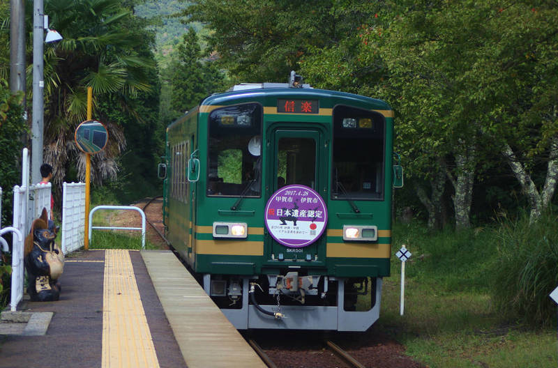 206A3831.jpg