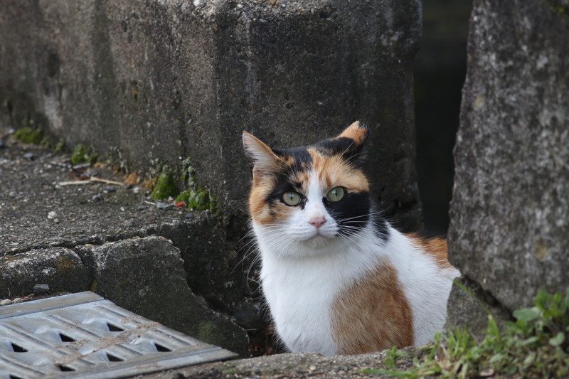 206A8017.jpg