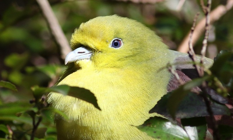 206A9617.jpg