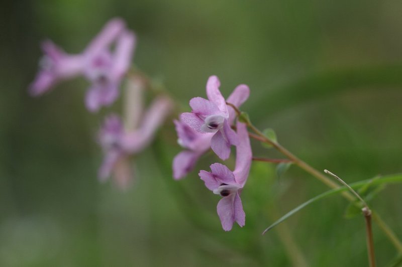 206A9677.jpg