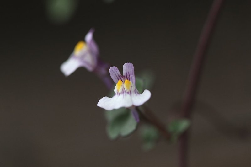 206A9732.jpg